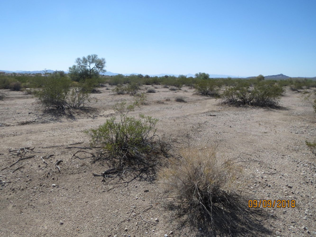Lot 36A& Douglas Ln: Douglas Ln, Yucca, AZ 86438